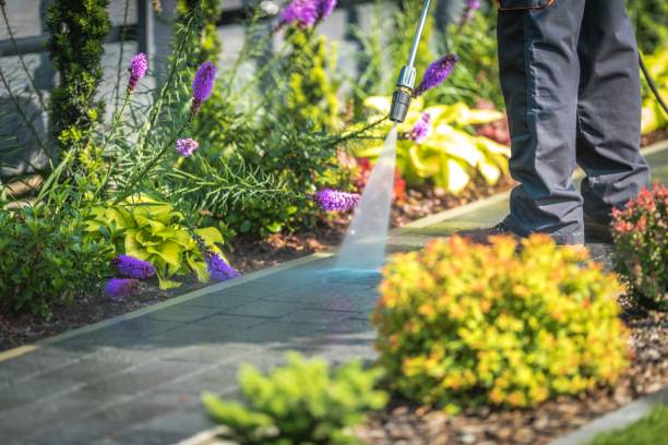 Best Driveway Pressure Washing  in West Glens Falls, NY